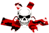 Skull In Guns Red Camo Image